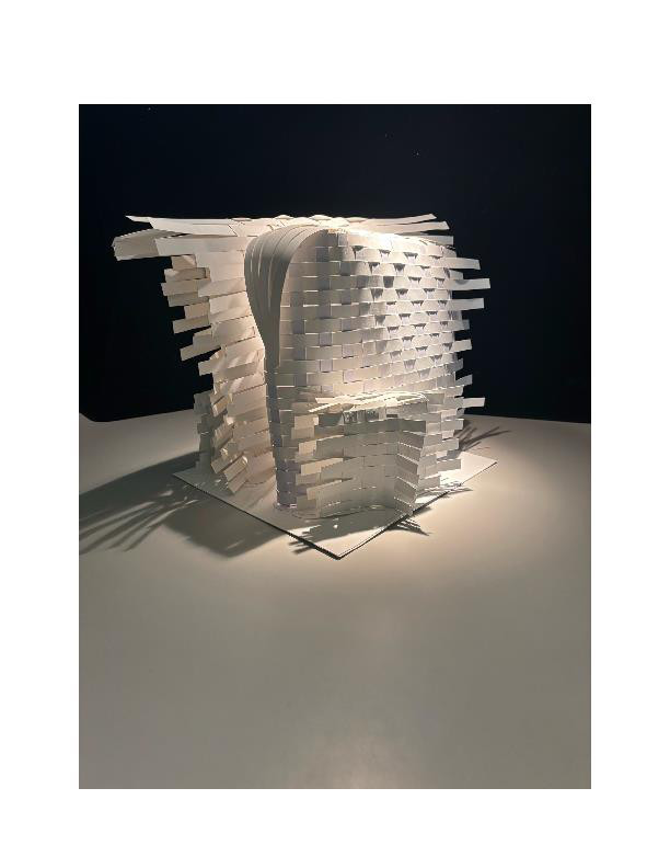Bruce Goff Abstract Model